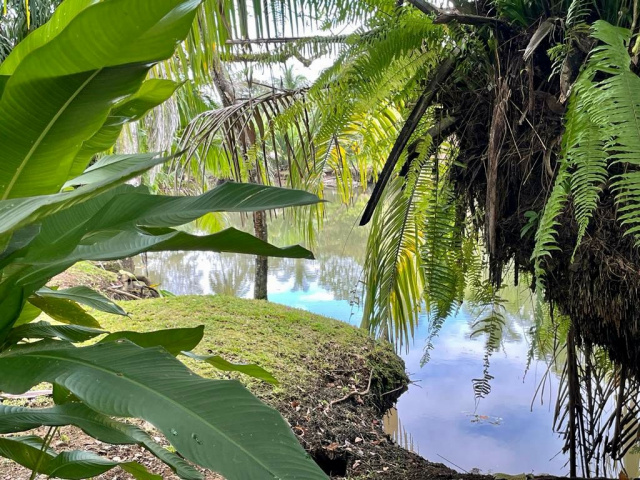 Costa Rica Real Estate - Sierpe